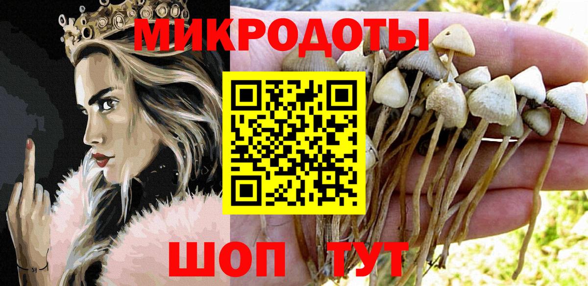 Галлюциногенные грибы Magic Shrooms Чапаевск