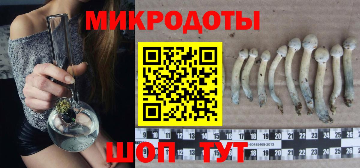Галлюциногенные грибы прущие грибы  Вход с VPN  Галлюциногенные грибы прущие грибы  Чапаевск 